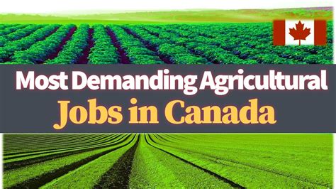 Agriculture Jobs and Careers in Canada 2024 .